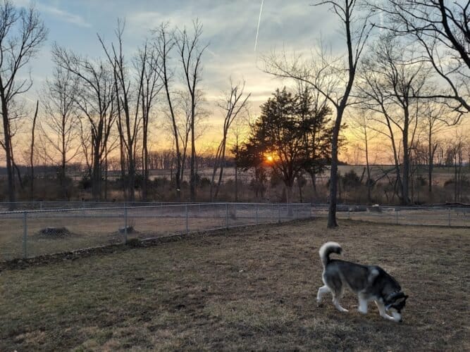 AC9h4nrF2T0jjsRooE2xK58obPKiEaNfNzfL71g9 sDsq DrfjRPuWuZFFY2ouUbJ9WwJ9vRNGUDbFhZzEX M903jZ2Cd J379cB JU eDg  0E 63ZJCuwF 8eZTyb7RKNusW4QmBAw1600 h1000 k no