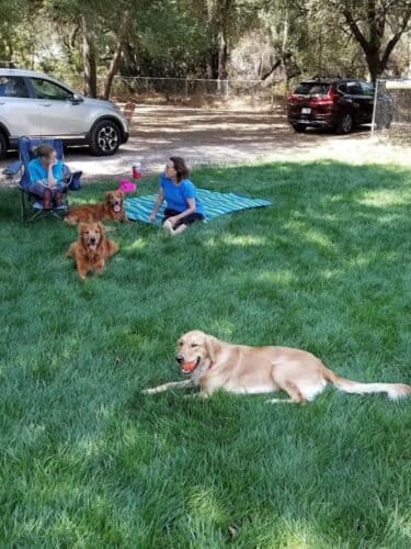 AC9h4nrFAZobMqYLkibHsOfSfkRuXkpebbx9ep5eAbsax5894WugeP6anHuQ6AsPLu6pqCLKWhSvWZd42GGvyHzeaW4EKhMADUy6qS2iK16 bJtvvkKGLXizxxzIDlKfWM8rZDjE2mEw1600 h1000 k no