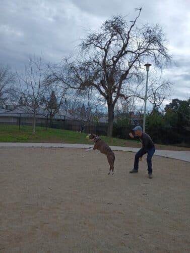 AC9h4nrFsGQmEVq8LtAVtxKksY1WaFQF9IBR5HyXqwSOBsNwivd0DU5sRE0eGB6nFrw3dYgBui26qNQQ59HHl yQjBHb0YTehVgM0ndGCGv VWyUwmGy6SCevVvf1Nh0U2J EedH7Pww1600 h1000 k no