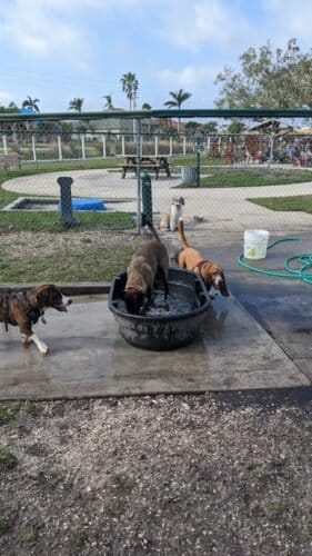 AC9h4nrG3qoF74n1IB7DQ3H2gJCJXqOrwvfkkxDnpmRBILPj s7Q39wewX8p9OIWegs9ftt9n7JC6o VxHdonBrBNPAVC6qZ 8LFY Xd7ww1600 h1000 k no