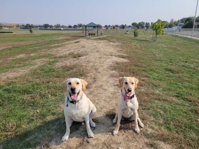 AC9h4nrG4ONz9SLs 9UJZhntrmj1G nkUHVknUFIQqknBYMVXqagEkiys5Nh7IaVdzbff 5TEdpJQqrgJgWQu8i8Al7bwx1aTwfFME9VaB9j0cr09rsch7wLBmUkKhOlH462WCcH Ymgw1600 h1000 k no