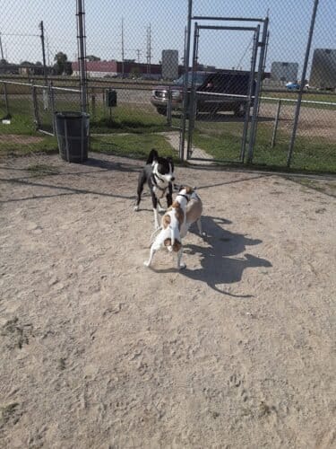 AC9h4nrGHuc3LqXX9Do1O8bNhF RvvuhWMZFVVvRpj41 GeAhEj8A2RPvpKxQBXQc2WnYdjN4GeDZtc6AmXmZbY3lpYGv53 e0frWRq38Igc9pBe NGlr0hSJ9IEw7lGsSgBmCd0ntcDw1600 h1000 k no