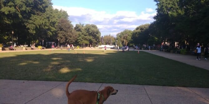 AC9h4nrGJLrhfj7FymK84QiXAjNg3f2ca1c4KNY a77mmINFVAwPGom7LmWvyxfjLliEXecaC49GWHvhAR8jL7nG8ogdQeyunfCmVvtP6 VGVvm73k6CphX2sLt6KETE9kqBXK7rj 8w1600 h1000 k no