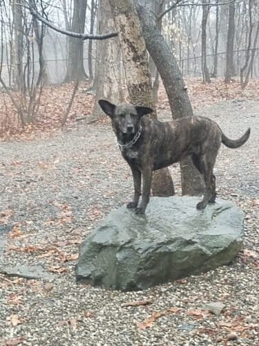 AC9h4nrGQ08BKbek2O6UNP6j0c7N ulnSuT3fE7wae9AToluWOyPsWFnZbetzdFBwid8x9Bha6XQDblTkvI7dwevZkIGMBFp1LSzZDjnPDJiju8ApEOU5g4CxI8xDDP8PpJ2puNY36G6IAw1600 h1000 k no