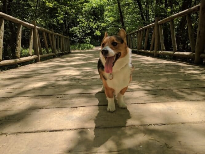 AC9h4nrGXGOoWYD028x1h9pJvGQ LdMkplgOCNaUBWOM2bXK4Za9KkEmm1ICvdZ5GW4sv0uzDUv1lQqP7S3jLuMdKB0S n95Q7TrXs0ZfeR0QZSDX 533zUrLmrlXSWUaLtyzDXbAOqE5Aw1600 h1000 k no