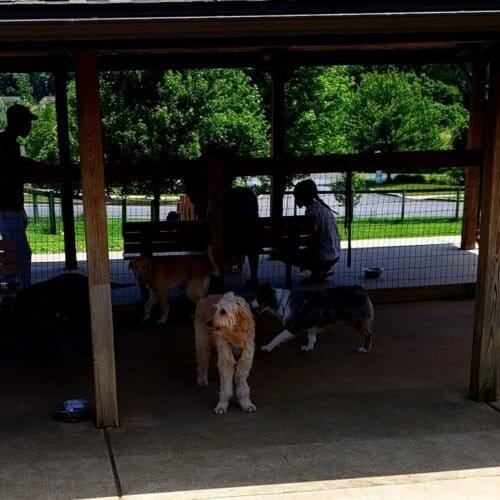 AC9h4nrGfY3UhogAUwZf3jEH2RNZnl0ywJ6Pydp4czO1wvKSodayobDQSwxmLLTwXfFV8GeiJxtTKCVjMaMV6r8DN47b9Xm8DTkpa0wZeclXPKHkfs5LJudd0k46GwpMeULGeAqNp4Imw1600 h1000 k no