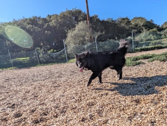 AC9h4nrGnPhUzor2mxHXOLy1B3voOI7 tvKAy7vWyN9lPjzqAh3afnXMJoo4wlmn X8GriaZSrw9FUfqSuNf o1cEnUDP 7OCYXVYKN2aBObS8YkrUT2 m5MukZsqNpFosPEj9E9i39opAw1600 h1000 k no