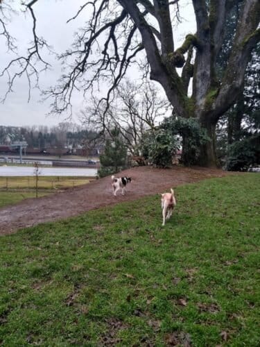 AC9h4nrGqOJy5ftqKsIUjXO  jqsQCI4xCl01AIoypYdcqM4a99XSpQ3UrZ4S5 Y2JRKH3QetQ5ZL1zIsGsmBHMDIjjZyBwdztxvlwrkpDR9VRGr1KAtPYaKR1Z4S7vOXcacvFvS4fE2w1600 h1000 k no