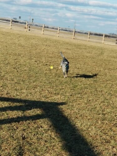 AC9h4nrGqqKbW0BhFLOkX64L z95eVgFbBuBqqqFgXMSKVSJum274 9WoRjwv90Gr2g2HGyC4Dj047Ubw50UZMJpduzQOHYlZLJy5rPe yREeJjKWyH 4quLX7lrXC84NpTp 7D8NH3w1600 h1000 k no