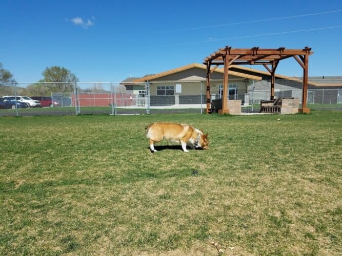 AC9h4nrHO35DExIPZv7zAZPG6HoujO6RHsaXjrquuEA9HRjqpCbvW9lrNcKSg1F4w1ZQ2W1CTx3q0H8fH5eoWNjxgqzsk2f6w8UEdX21uD2570PaGy16otFj5vVVSj8AgjbF9HcBlmpkw1600 h1000 k no