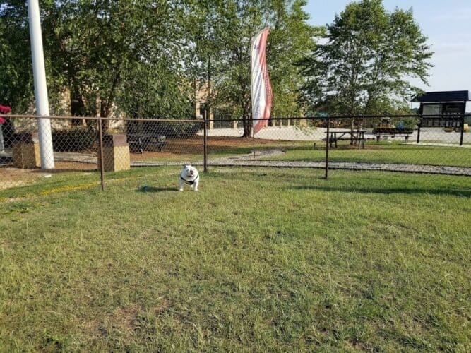 AC9h4nrHRMjKrBqaMVVKZoWHqnY1MTgrmvuarYwU0PwuhFlr cTOZ3c0FVETJ OfTCJfCozGGbGbJVWgTsWrTF8VwVzXNRd72dToUfS7G3Dk5smQJ bbCqdkxgpp13h kZgHeq1sEDcw1600 h1000 k no