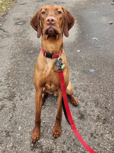 AC9h4nrHYuZsUfEqmIy2HnsRrz4A9w 7TkBxG doVgXRrjeOrBvvXRba9s0yjqdKZJ0acvKJksUvYXpa7NhKR gJ P JqjgyhqwBPDXwV6Zoc1h20N7qupGGCBsRE7JyPRB2Qn8F2WAw1600 h1000 k no