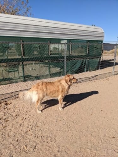 AC9h4nrHfOZDbmYxTJ5rrF3Ny69NrU9ZY7WNLtmB35bhfBSxdK9DgcVmiDrShpHWjm0Njgjg8NHA7kxPP5RutQBTzmen7jsIkQDh4GPPmPz l2p2bso eQ80Udj9dllfjN2zWUtaCqQw1600 h1000 k no