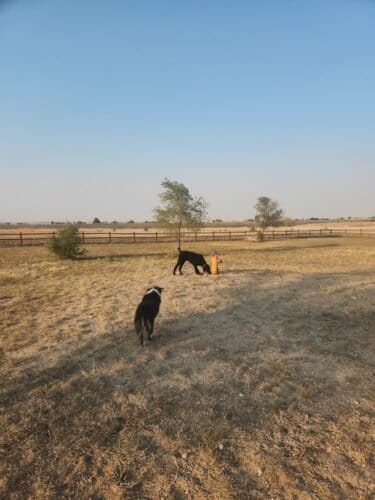 AC9h4nrHlW d0s omAO9Hsr7M6shvlnJoUiOtBesylGxGWW37mnqcBxZRlbKjRy9W0nNP0x 0Bd9V6g JRxkCktNFui9G3jX54h EDfl2eytqYC7yYcOSND0yLM Abhft7P2W4OG3R5USgw1600 h1000 k no