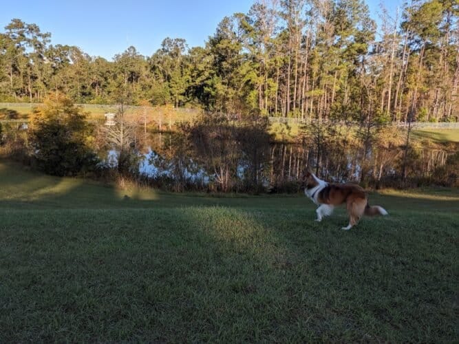 AC9h4nrHujUmCWqo4X0EHX 0CWTmQjiZnZLY0kYTaq2IXX82raNkG8xV3y3bHBIFowgiitJ2o2CIVhszxZR6xV6Cy0RdK5yHNCQ9sLJIQDAw1600 h1000 k no