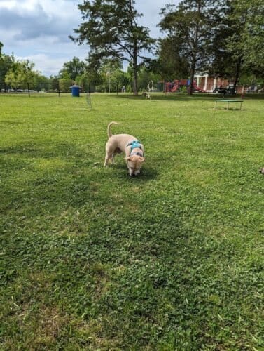 AC9h4nrIo1TkjDheiaL7Wd0yrTiX 3aZm82lNabOgvhokOhf7dpJLKsDxACxDoBg 11Jdkjs4SJiRI41aWXgvm4XKrk5qk20Ayrpxv bU5eAlDwh59OFIXEa15ZbtIYNXS2uoguuyahchAw1600 h1000 k no