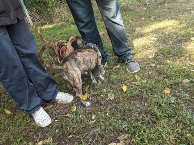 AC9h4nrIvyg5PAEDjQDbiKvEoxbOe9vh3780S3fQ7JhZ1R0CpW5Xdvv3GSYejJcfKwApOpsX5412Lj44WySxT4Ceujbp65EzulxukLPnPf62kLJLZOJcpEFux5qF4y5syAJTs8C0mBIow1600 h1000 k no