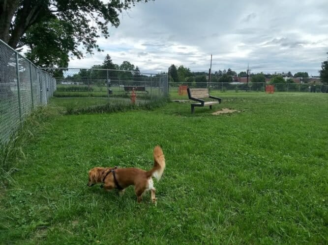 AC9h4nrIyzWKNekxTbpAGg9NMvssDqoTtUmmhEVv8UI1EAsAU0t2spolF2KmgvT4 JQ1zeKiPlOAuAvxHnbvnV4FRyyIheqxDcdlkdxJbwNvAbHryYVITAX t6 LowxRD MshAKg3M Ow1600 h1000 k no