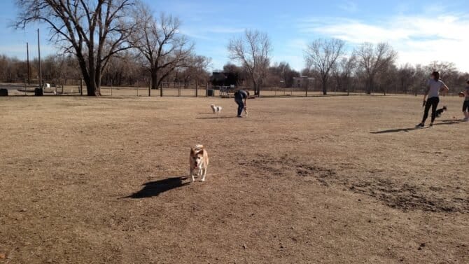 AC9h4nrJ9gaVLl1NgJUjMxCFxi JNjOkqCR2mKD3SZBolnU  BeXguDkvmN3h92Bxd56ywJssA8ZmrBz6cljLohtIT2 D0Jrg9AYjDf3FEXzD8U FCcmMFSyYW4tcAfjmOBjAjLUo5N5w1600 h1000 k no