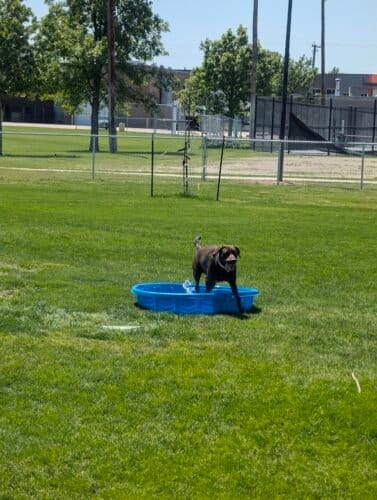 AC9h4nrJOmweQJh2u370riPlvgD5E1zEE1ht7NUttzZTP32IkL3PM0pUyEatjAa7Jdk7Uugbzk2FNzBtT4204Hkf0 eMFBS4OWHdBR9MhEijmFCZiCxJKZJmJBhvVaMLvh89Qb 0 717XAw1600 h1000 k no