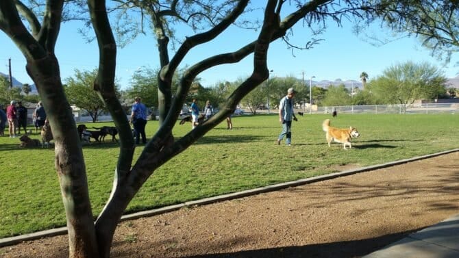 AC9h4nrJXHOeAfNM7nW05BsUQ1DR4M0MkS34D1cL3jpJAFqjocVwi4EyMTg lWGx0hdaqrTNAxTzQDMwyt89l51glKjp Xbkj0iZWKJsgxverrpwx3OmzESUG6skN5FY dKPsjEVivhmw1600 h1000 k no