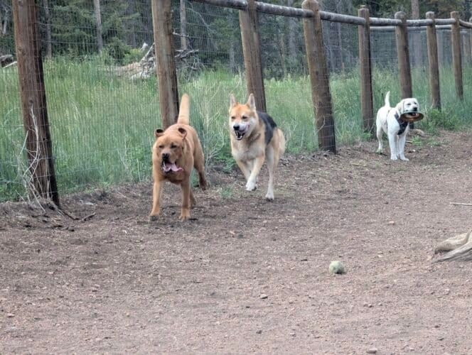 AC9h4nrJnN2TVe9K iYOlujbYQWa3DqqYPXN1bmzsVqmqSO8QCsSb2QvmTEbAviQ9aOK dW5q lZDqFzcFuL0Ac6J1ofP  B77BAkMybI7X5kZ4nS63JOkb5dD6yn2P6pGez8yBI59Abqz7CQYsw1600 h1000 k no