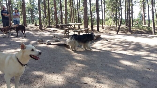 AC9h4nrJxLf6arPIFF5GOU EmfnxLIzCPeDotEi3Em4K3tiTLvxlkj wkFYHIWhEMpY0fRTeTPQrT4BEMsrSP2FEtC tXMjzFq plkx8ZQPSTTz5qAmVTENgALiqYNyDw5fThbj33dow1600 h1000 k no