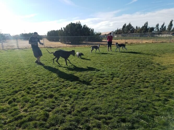 AC9h4nrKCdOUTSjqcUPD3NDJLVfMb6lXNo5SZN8oLhwhzzYhbkSrSS2i4f UifgC4qDkNyxB yYlM8NhSzybnT21wjvNLj0pC monITNuSztOV0Det1faP3M0zCuKwBVR54aq4ABAsUOw1600 h1000 k no