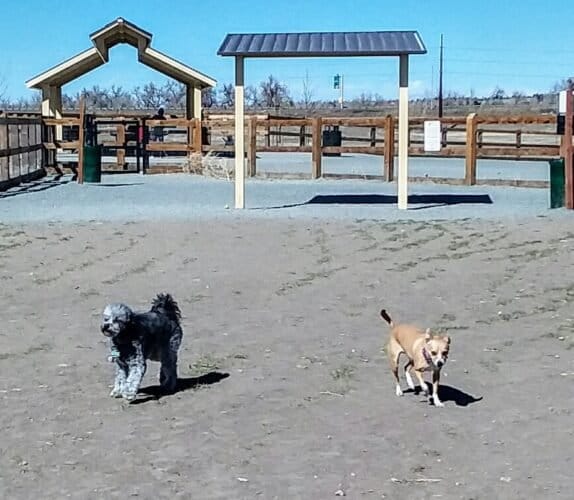 AC9h4nrKR8Z N8huom4f0PfqJmOu2wbTobUFxbRGbYFFK1EElYpaNx1zdEnQKcXzVok87svwi3V X2Hw3zbXJOV2rqkWOvry VfN0k29OaoLeFs0JWfp0SlTalVYqkwQyHfkjojwOOCIw1600 h1000 k no