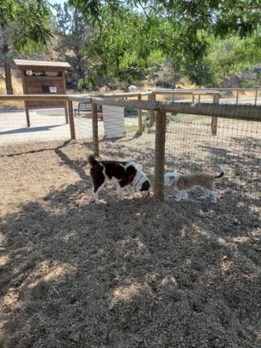 AC9h4nrKZhhk75gOExDDi2LNbStkbnxyYAQhnqbfhxSkeUz7cQL9LFzOdXEHeSuIYey NJ2Af4C1XsG4pFc9yCL 7N2GAkk7RtVso6sLL7nj4X0Irt78cQRriYPehDem5h6vI2m8q4 yw1600 h1000 k no