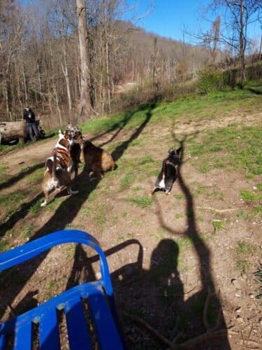 AC9h4nrKeSqUlmpLeAcddmI4GY26W4nKiTlzltEOIcaUoPAwhqSAa7CZitgB92JoLZ5qx9k5AjcrM8SOZp4KAZUNt7nAdqmLD6zmL5Wu9 3sHGoOVeDgQ8FLsmidFSLe0wbke heHzTQ7ww1600 h1000 k no