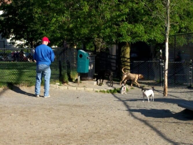 AC9h4nrKfVbfdstoepdIuQ9D4An9IY3PFwc2 nO pL4W9lkc3 L8wapUBHeQYEEoZeADZOeRMeVyfaDG2a6ByT o9sauxKVKu4sV9ZNsJbONpBg0oPAM0GHMAhRC14wIL2VXgCg mazsw1600 h1000 k no