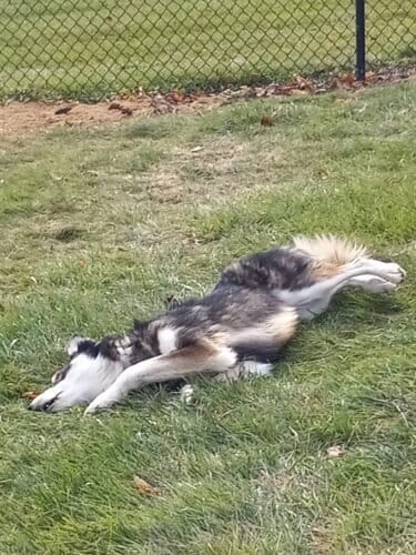 AC9h4nrKkSG4tn7hQ1mWaDlgeaUuCisy8GkIyUM6K fe8CsXX11eefHoSD5ZRhQFVNkzXpFxZ54o DR6MUqF CAMJdkGEdECos1GHn rx4yj5WhYy3j0igBZbLboyvsKfLhJAl94THN3Ngw1600 h1000 k no