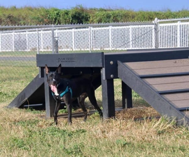 AC9h4nrLCpZw6NQIaXAPFPA00ahEoD1UqsojlUbd0oueABucsZdeiIMwQfMPNMvQMNVLe1fyWfl7uUgqWyDciUncl6B3YQuWLyAVyuFNB8KKeyPv8jN7yswyLTxbpuIj Q6Z7A49UygKGAw1600 h1000 k no