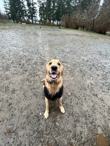 AC9h4nrLDmUfxzq5znXfoGHuDT6JEqT6i3cejMh0noYjh2WF7Jl7F3jmyjgnjdUad miLPbbRz Xmj9GSrbr2hG9otI0 0 sq16GyHvEI4WYtmuyu4DxpdokA6 HxQ2pW3zmqVzM7HgekQw1600 h1000 k no