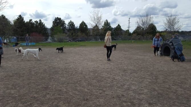 AC9h4nrLFzQI92jBPXAuAqAEz GPjgDlL1k3DcCkJgxK A3ZzgVid688rw5KUufHKdUEdpSxisP40EdIAh99rgA2zA48IdP0W8uGSlWqU YxDNCbIlzi0kb1gyhL9bLdXTei1EOcaUy2w1600 h1000 k no