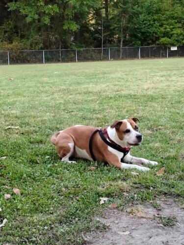 AC9h4nrLYOsvIfhmzc1t52kwUOyKu5u6ZrUrUBAM8OYQc599C9U9HJti32YwJ18LN4bgeavbsC jx p66Gvl CyYADgGqWbCMVWuRUI7gC2EmBmycFrn9inIhWfJkfQRW5NqP9xmV ROw1600 h1000 k no