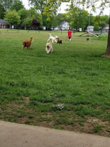 AC9h4nrLl vr5gqF4Hm5jJOttkxIWAKUdSpGbaAUx5M3X Cg6d7EB4myThf0COwNM1a4YXKqWKR n8TdcmHZNVzRKVzuURE4eI70U86kvaLkjYg8gx6Ton9HVTLwR71v5iEnK5PuE dplgw1600 h1000 k no