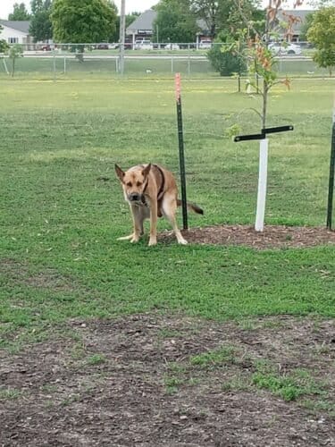 AC9h4nrLn4nk0YAuxC79FNzIeqsSEfvzh4s AaHD4NZRzVeHcNtq9eOhtVZGLoUtGxHQCl0WFN jLAZQPKOBnUVyOMZeDmsVAN TmcxVel8 V68 eBq4q2X1RG32u4 WzgOQwwlQ5u5bw1600 h1000 k no