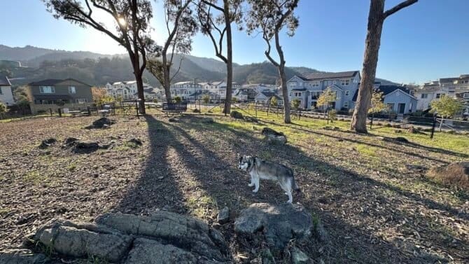 AC9h4nrLw2EYCln1vCBMwYprO0cBaGZATKPKB9W9oRTMWKQsPsVQKyRDEXoEWVZM4Vg4SOfPq1nZfNJn7ICIo XR9oKxIYpPe MqqwvF7OCJ8pZj4PcfdIRycp8XLnOn8Ah01f4Putj HAw1600 h1000 k no