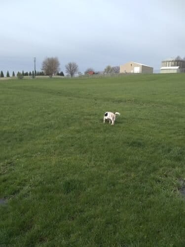 AC9h4nrM1X4bjpQevNzAJNQbbu Qh64NwW2Noi xkOL3vSY2RiOl0tbmnrfnafNZ4aVAOdRBJjEkUByFvqqDzr8SR 3TZ1h9SwFDnLk0VTZQqj0lyNH8WPKhCnsABQH nbz1eHI3Q5R3WAw1600 h1000 k no