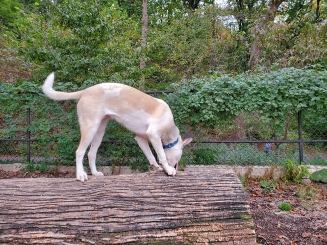 AC9h4nrMBAOkMZd4Y2l7msggLgtekCVMjXZYpciSDLm09rz6jKTra9CKiEtc5YVSp6xkGHTreiSV63nWQKA4a6sNFUKXt3zdnSBoIBWI53FXgHdwBfzPcEs7tCjC2so8jT8mxmJ1CkIhw1600 h1000 k no