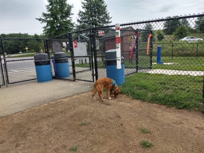 AC9h4nrMdlVYXhhLDbvdGa hFAl8xTD4OCTooqejiyS0zqlYthCylbaRMmhtZ2fmsd7Ft8VJKs29OT E5cj5Nsj rF 1k4GONmhbPmmdL4MStIsWYzQq8aRVPso5Cxm5EvE2b0UU2SQw1600 h1000 k no