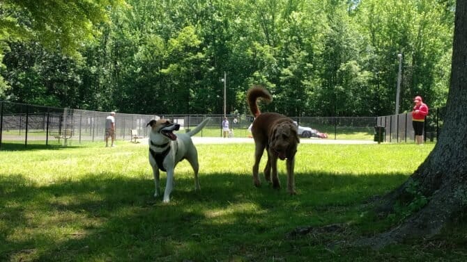 AC9h4nrMmdGzxTfgVCKorE323LfMiiU7Z m1fBcFjGQ3u4bD UehJBPRg6 AlWI8gzLLIDF6z42PMuoPXoyX3Eq lwuESqnvOhpAqX743TlqD0y8 phzjHEXbpp0DwRp E0GfCJJWww1600 h1000 k no