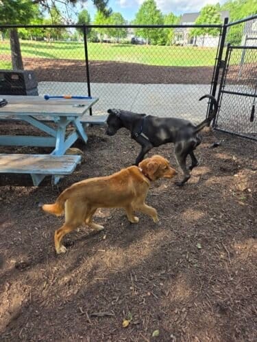 AC9h4nrMqBRD6e jTD8D4BlQNBt6yjHMTy7kFGW4m3V8bdz EdQv81L1CgoRdiCiPmSPFfGiYTCYLuvvLmJv7Y5wfAPiYFvaxX96yoaEhIgw1600 h1000 k no