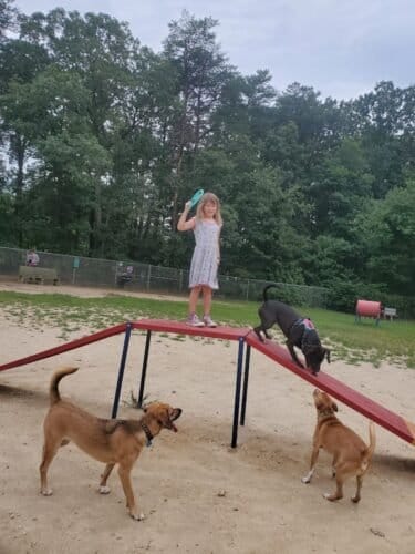 AC9h4nrNbur kzpB2PE6oZRxNqaAaLAz7X9BPu3jezDk 2Oj yJGBsMrzsO uyr7TrDKQwauv2nDQrKizvsvUAK12z8jtHceEcGeHumUZQw1600 h1000 k no