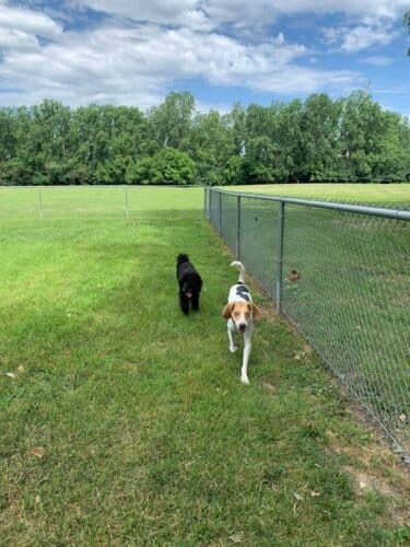 AC9h4nrNgHgD4PmskA5fpXDGWzYmJEononEPihRhZICXOpDUzP72cMLntiKyOg64KTOqWtuP2vvuXTBhU2txMIVURms85g9avM5gPAPhHDrpd 3VeC2qOQKoZ89GqbiTbSkj3eDoxMdDagw1600 h1000 k no