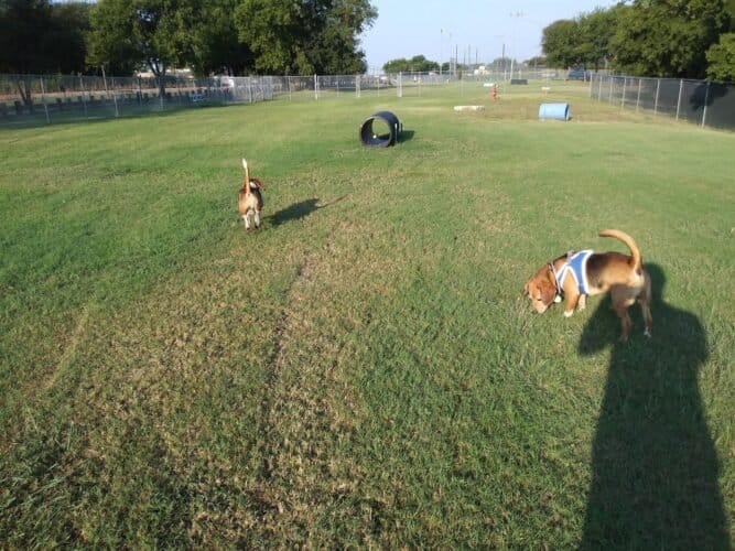 AC9h4nrNkcuEA kQYBF5l85uHPcXgaKGRhoNfMHaM y6PhMptJ4VfF9JWSOALUHhYL3Q1OTCYCDxqXEWUVCG5jAJyC8SWFhb5QIM8 BVVa151tIc2UnjYr5nszubT6rEpk9vi2JKMqow1600 h1000 k no