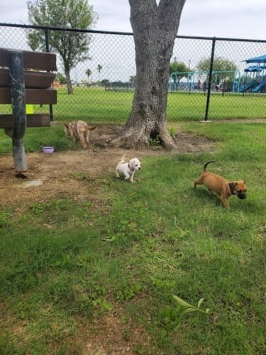 AC9h4nrO8j20bR5Ij6YyTpHj UYbSwm3d HuQ  oXYsBk6cKXzqjYiQy2g1bC0pYVWwRYKQ8ryTIOi01cqmvEoLoTUnAMbYkue3558Pzn64BZZa8O05bY5inhBKBC4of5vkNKXhsHXK4ogw1600 h1000 k no