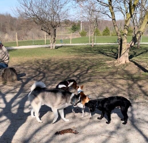 AC9h4nrOB1WGbhd9j 2RQ2vG8nEv3mp1JACo5yigIXPvFMGkZiYuBLmjHV0Fq LDdCzz0cPsWUiuamRbCu8vbKoWmMI6XtnCIIhu1856aOMw1600 h1000 k no